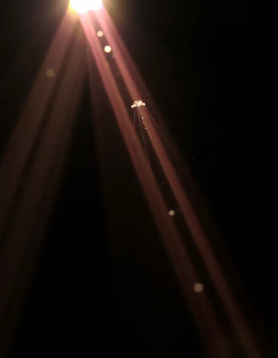 Prismi in cristallo per la dispersione della luce nel lampadario